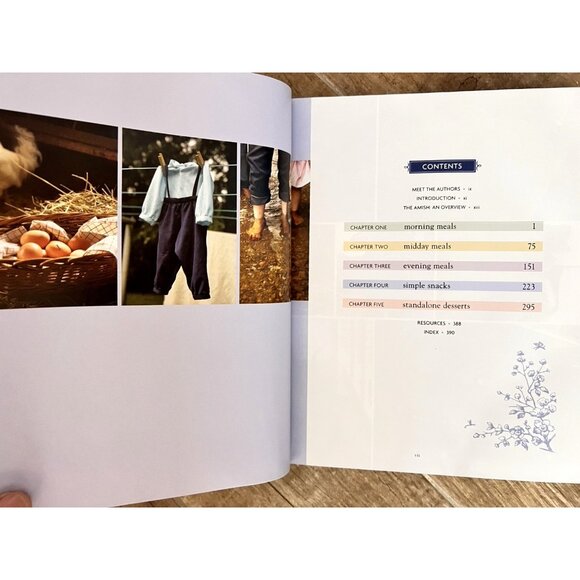 Amish Cooks Family Favorite Recipes Lovina Eicher Cookbook Illustrated Hardback - Picture 4 of 11